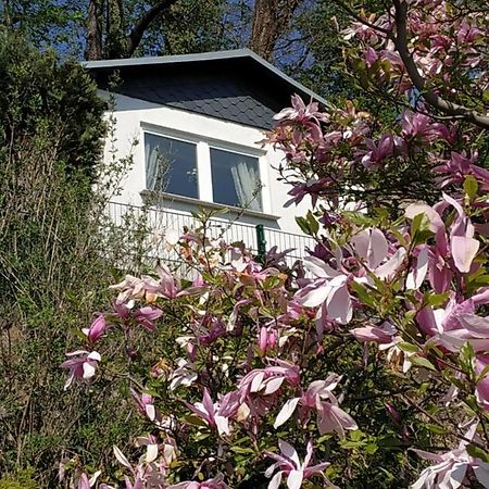 Das Ferienhaus Mit Aussicht Pirna Exterior photo
