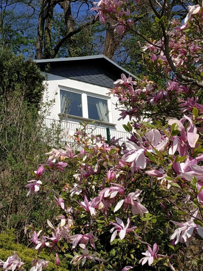 Das Ferienhaus Mit Aussicht Pirna Exterior photo