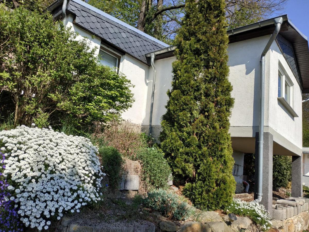 Das Ferienhaus Mit Aussicht Pirna Exterior photo